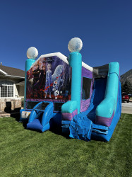 Disney Frozen 2 (Dry)