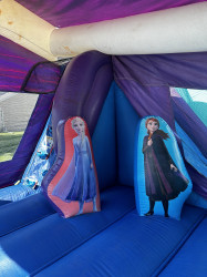 Disney Frozen 2 (Dry)